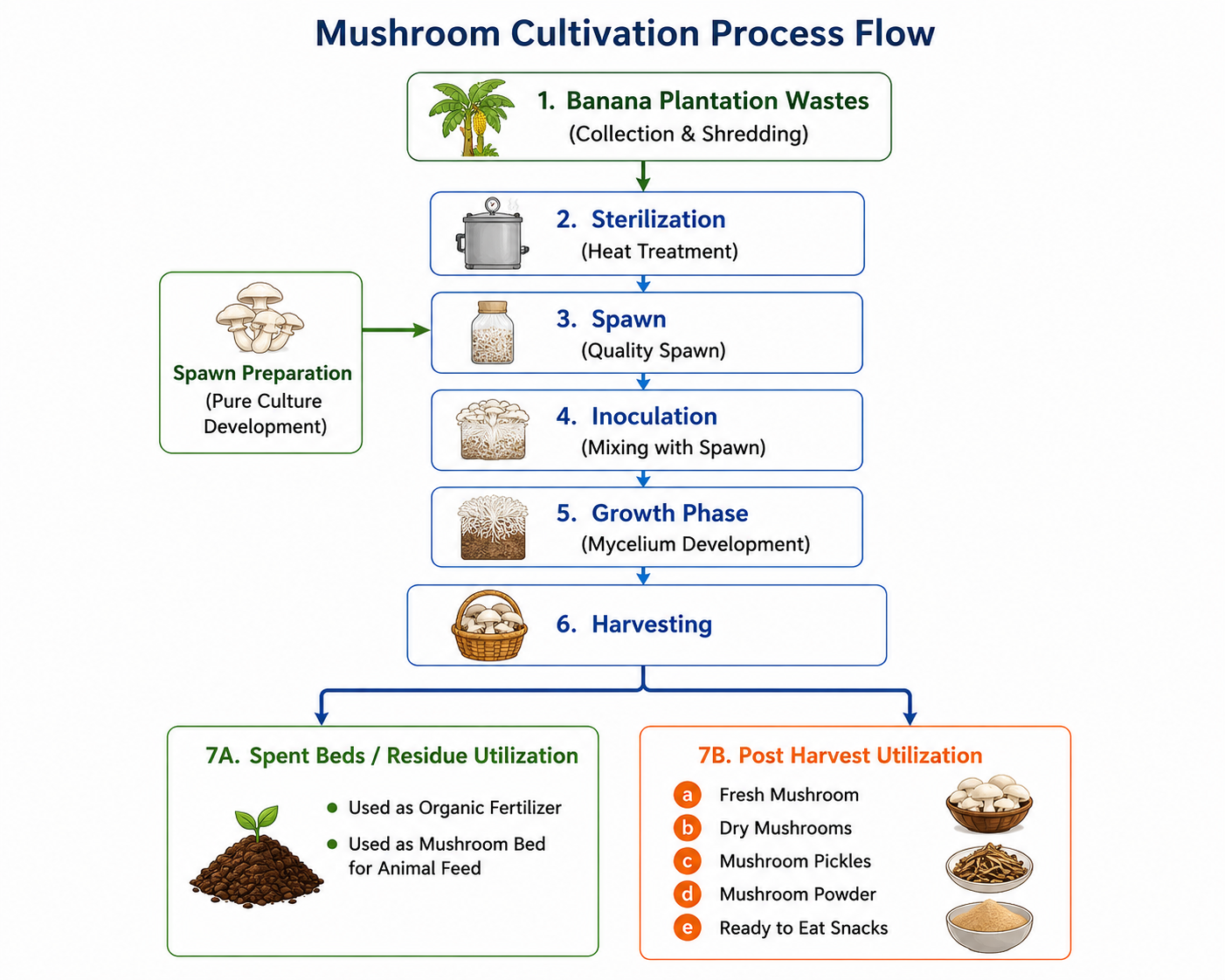 Mushroom Cultivation